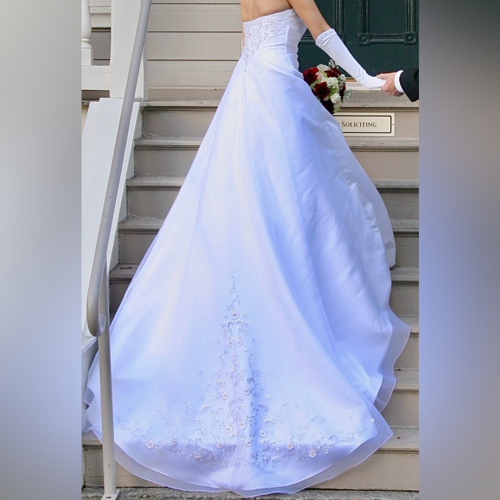 (BUNDLE!) 😍🔥 Wedding Dress, Underskirt, Veil and Bridal Gloves 🥹✨ - Picture 4 of 12